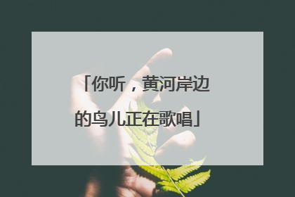 你听，黄河岸边的鸟儿正在歌唱