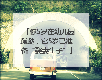 你5岁在幼儿园蹦跶，它5岁已准备“娶妻生子”