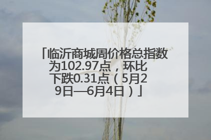 临沂商城周价格总指数为102.97点，环比下跌0.31点（5月29日—6月4日）