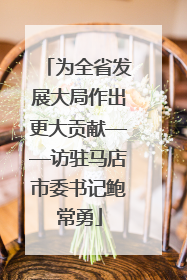 为全省发展大局作出更大贡献——访驻马店市委书记鲍常勇
