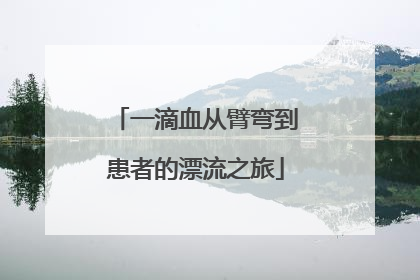 一滴血从臂弯到患者的漂流之旅