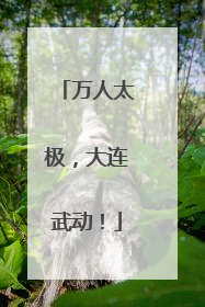 万人太极，大连武动！
