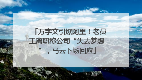 万字文引爆阿里！老员工离职称公司“失去梦想”，马云下场回应