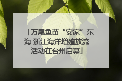 万尾鱼苗“安家”东海 浙江海洋增殖放流活动在台州启幕