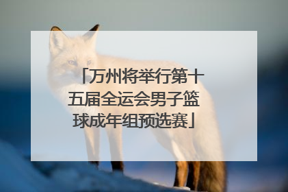 万州将举行第十五届全运会男子篮球成年组预选赛