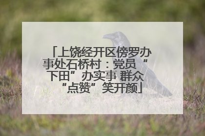 上饶经开区傍罗办事处石桥村：党员“下田”办实事 群众“点赞”笑开颜