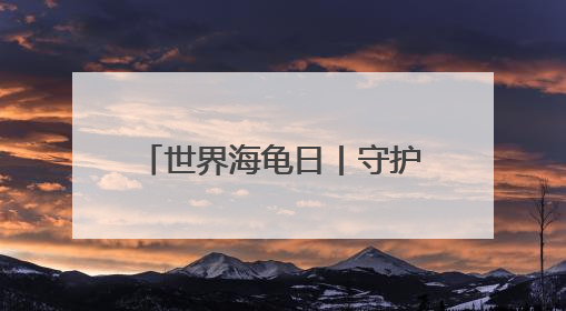 世界海龟日丨守护世界最大海龟产卵 特多“守夜人”坚守海滩30多年