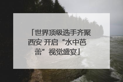 世界顶级选手齐聚西安 开启“水中芭蕾”视觉盛宴
