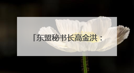 东盟秘书长高金洪：RCEP是区域经济一体化的关键支柱