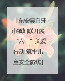 东安县白牙市镇妇联开展“六一”关爱行动 筑牢儿童安全防线