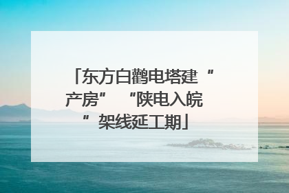 东方白鹳电塔建“产房” “陕电入皖”架线延工期