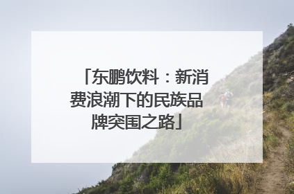 东鹏饮料：新消费浪潮下的民族品牌突围之路
