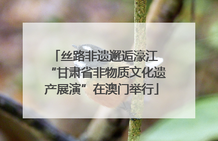 丝路非遗邂逅濠江 “甘肃省非物质文化遗产展演”在澳门举行