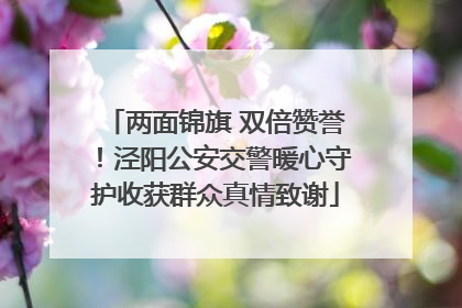 两面锦旗 双倍赞誉！泾阳公安交警暖心守护收获群众真情致谢