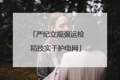 严纪立规强运检 精技实干护电网