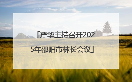 严华主持召开2025年邵阳市林长会议