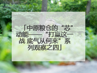 中原粮仓的“芯”动能——“打赢这一战 底气从何来”系列观察之四