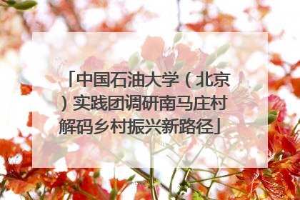 中国石油大学（北京）实践团调研南马庄村解码乡村振兴新路径