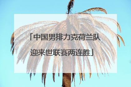 中国男排力克荷兰队 迎来世联赛两连胜