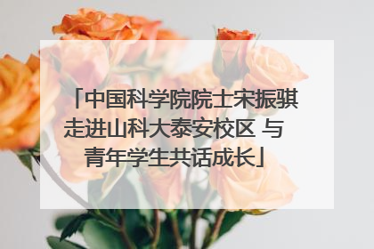 中国科学院院士宋振骐走进山科大泰安校区 与青年学生共话成长
