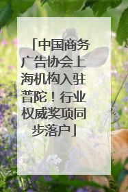 中国商务广告协会上海机构入驻普陀！行业权威奖项同步落户