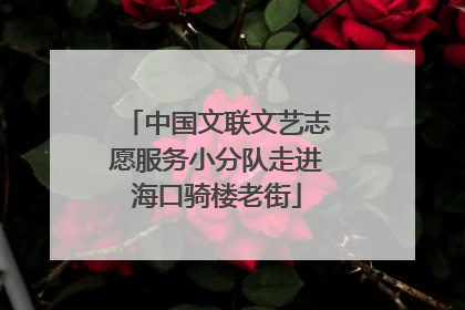 中国文联文艺志愿服务小分队走进海口骑楼老街