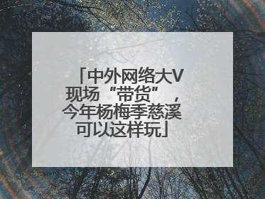 中外网络大V现场“带货”，今年杨梅季慈溪可以这样玩