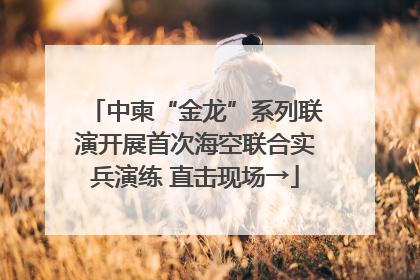 中柬“金龙”系列联演开展首次海空联合实兵演练 直击现场→