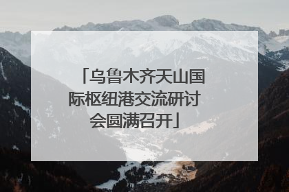 乌鲁木齐天山国际枢纽港交流研讨会圆满召开