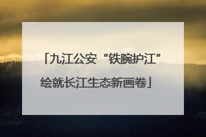 九江公安“铁腕护江”绘就长江生态新画卷