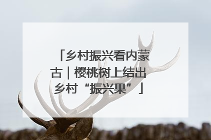 乡村振兴看内蒙古｜樱桃树上结出乡村“振兴果”