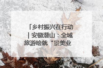 乡村振兴在行动｜安徽潜山：全域旅游绘就“景美业兴民富”新画卷