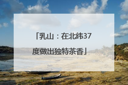 乳山：在北纬37度做出独特茶香