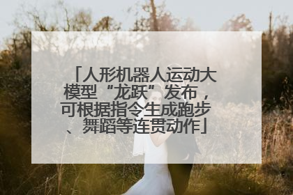人形机器人运动大模型“龙跃”发布，可根据指令生成跑步、舞蹈等连贯动作
