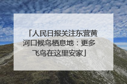 人民日报关注东营黄河口候鸟栖息地：更多飞鸟在这里安家