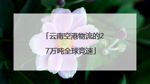 云南空港物流的27万吨全球竞速