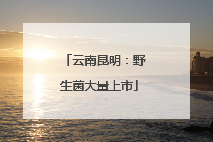 云南昆明：野生菌大量上市