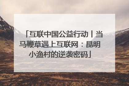 互联中国公益行动丨当马鞭草遇上互联网：昆明小渔村的逆袭密码
