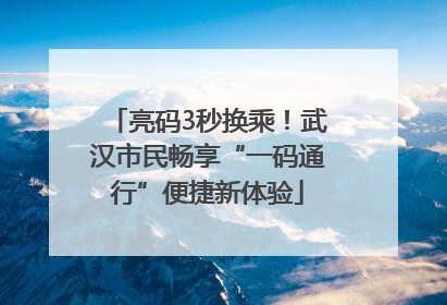 亮码3秒换乘！武汉市民畅享“一码通行”便捷新体验