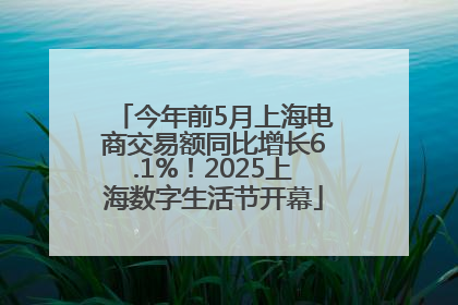 今年前5月上海电商交易额同比增长6.1%！2025上海数字生活节开幕