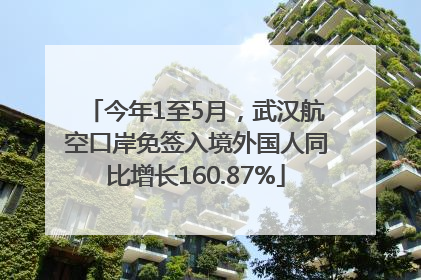 今年1至5月，武汉航空口岸免签入境外国人同比增长160.87%