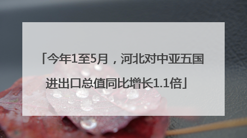 今年1至5月，河北对中亚五国进出口总值同比增长1.1倍
