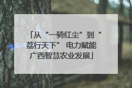 从“一骑红尘”到“荔行天下” 电力赋能广西智慧农业发展