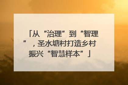 从“治理”到“智理”，圣水塘村打造乡村振兴“智慧样本”