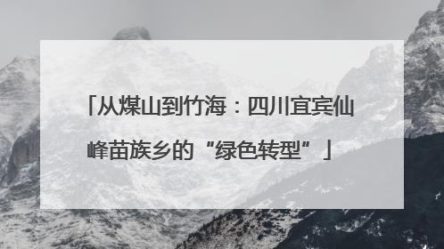 从煤山到竹海：四川宜宾仙峰苗族乡的“绿色转型”