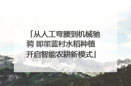 从人工弯腰到机械驰骋 即墨蓝村水稻种植开启智能农耕新模式