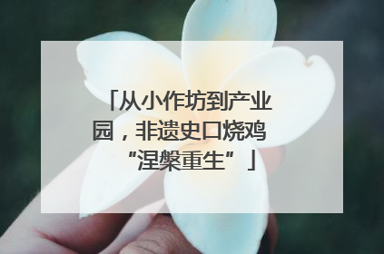 从小作坊到产业园，非遗史口烧鸡“涅槃重生”