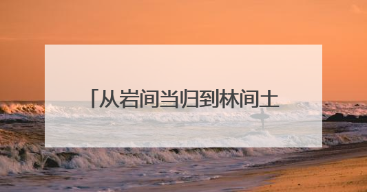 从岩间当归到林间土鸡，解码思茅大芦山美食的“自然哲学”