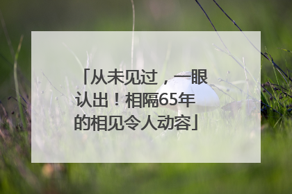 从未见过，一眼认出！相隔65年的相见令人动容