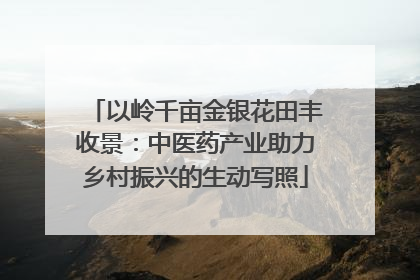 以岭千亩金银花田丰收景：中医药产业助力乡村振兴的生动写照